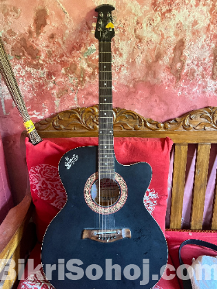 Signature guiter